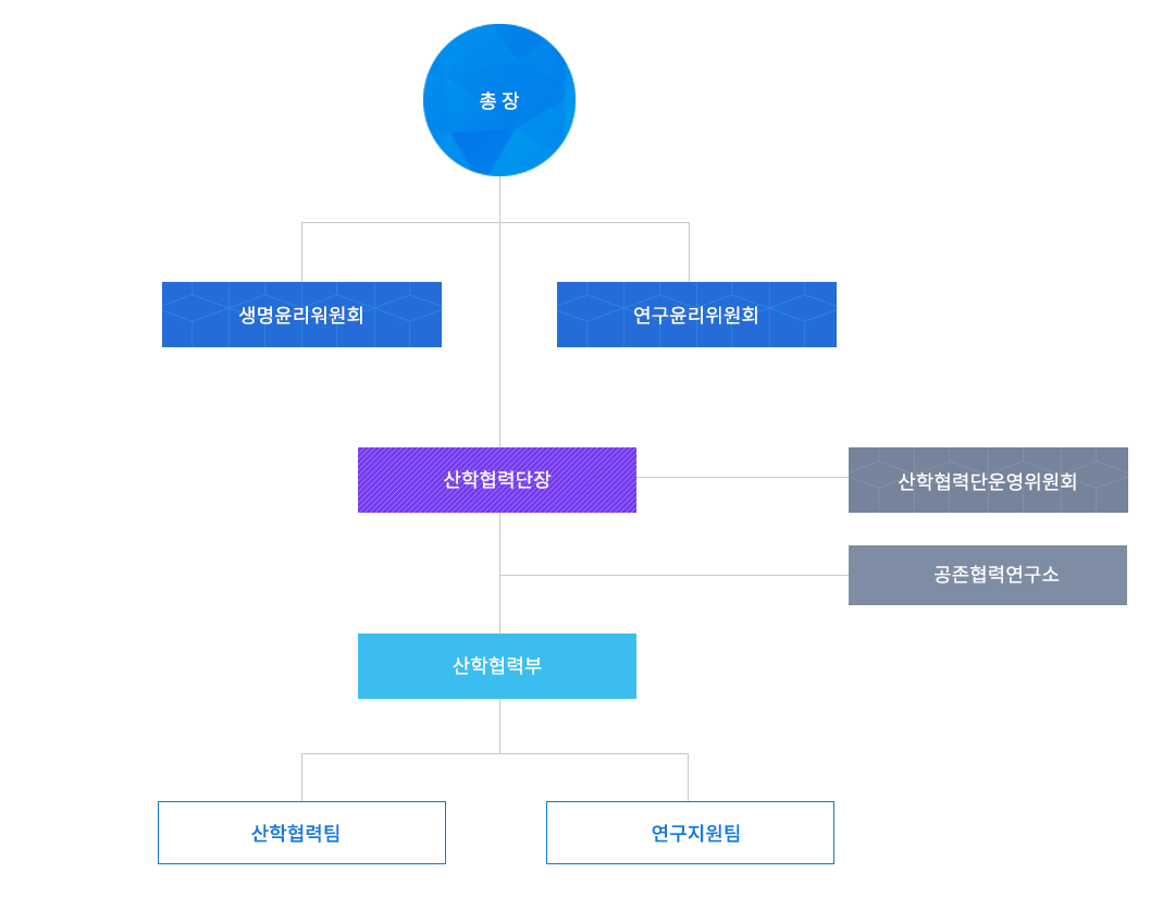총장 밑에 생명윤리위원회, 연구윤리위원회 밑에 산학협력단장, 산학협력단운영위원회 밑에 공존협력연구소 밑에 산학협력부 밑에  산학협력팀, 연구지원팀