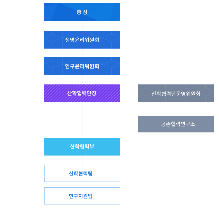 총장 밑에 생명윤리위원회, 연구윤리위원회 밑에 산학협력단장, 산학협력단운영위원회 밑에 공존협력연구소 밑에 산학협력부 밑에  산학협력팀, 연구지원팀